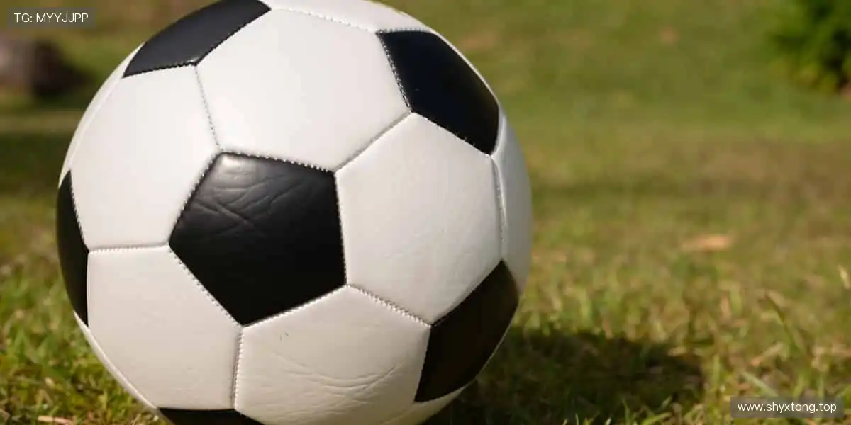 📸 赛场瞬间，定格成你专属的热血记忆！📚